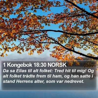 1 Kongebok 18:30 NORSK Bible Verse Image