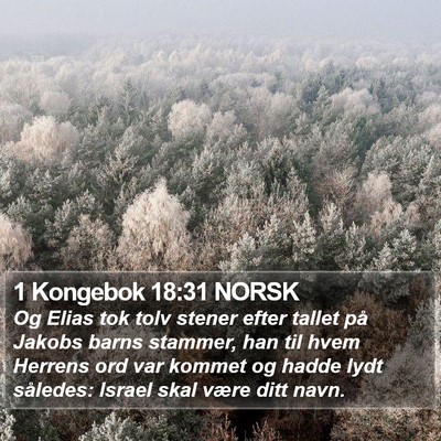 1 Kongebok 18:31 NORSK Bible Verse Image