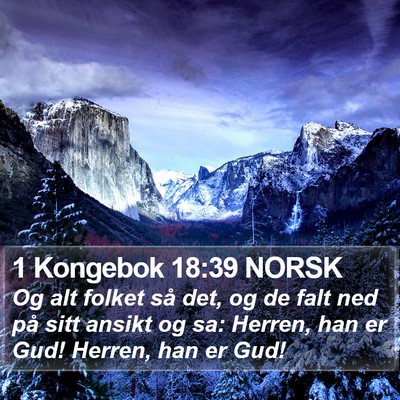 1 Kongebok 18:39 NORSK Bible Verse Image