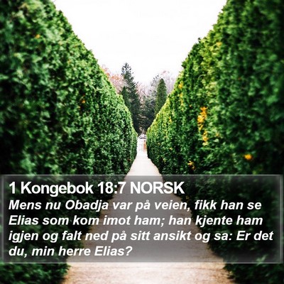 1 Kongebok 18:7 NORSK Bible Verse Image