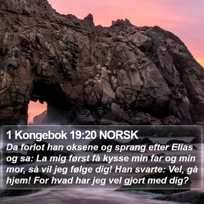 1 Kongebok 19:20 NORSK Bible Verse Image