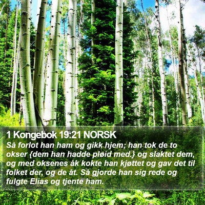 1 Kongebok 19:21 NORSK Bible Verse Image
