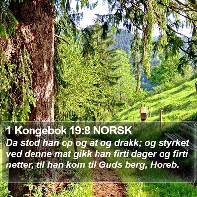 1 Kongebok 19:8 NORSK Bible Verse Image