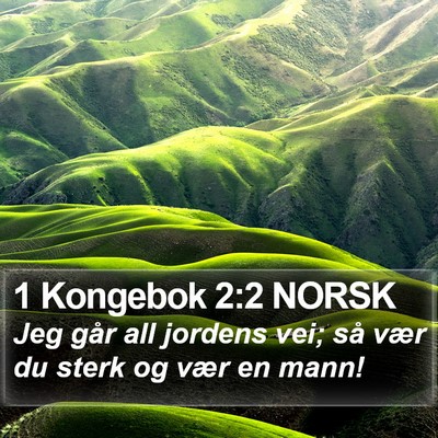 1 Kongebok 2:2 NORSK Bible Verse Image