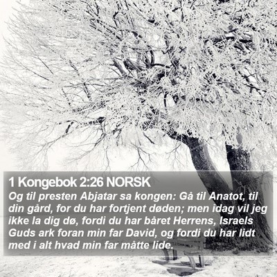 1 Kongebok 2:26 NORSK Bible Verse Image