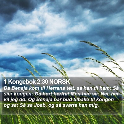 1 Kongebok 2:30 NORSK Bible Verse Image