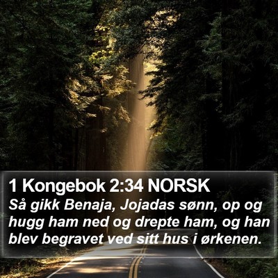 1 Kongebok 2:34 NORSK Bible Verse Image