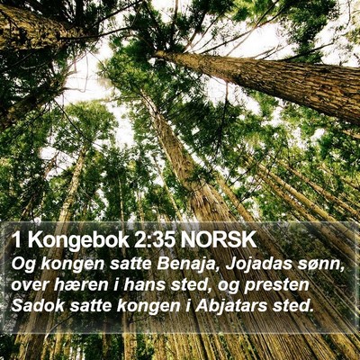 1 Kongebok 2:35 NORSK Bible Verse Image