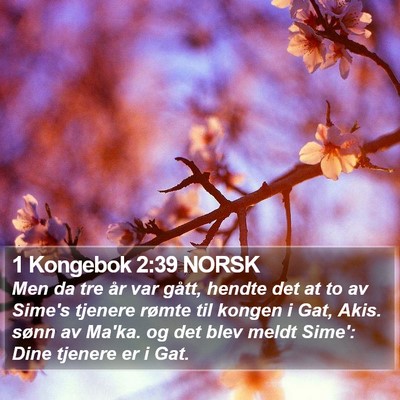 1 Kongebok 2:39 NORSK Bible Verse Image