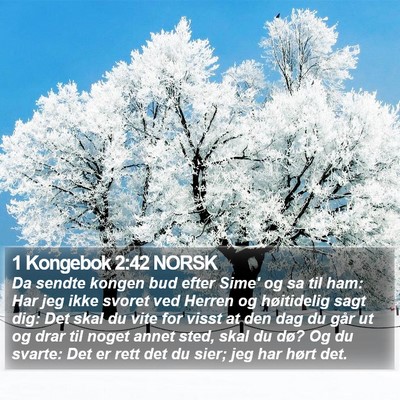 1 Kongebok 2:42 NORSK Bible Verse Image
