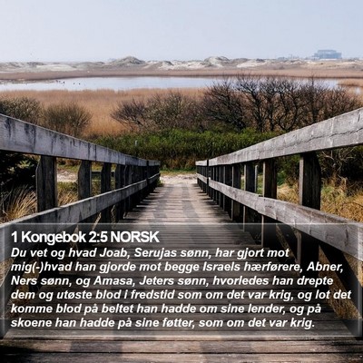 1 Kongebok 2:5 NORSK Bible Verse Image
