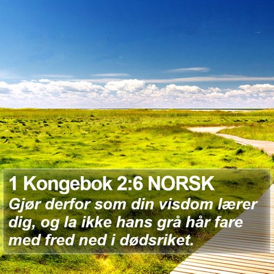 1 Kongebok 2:6 NORSK Bible Verse Image
