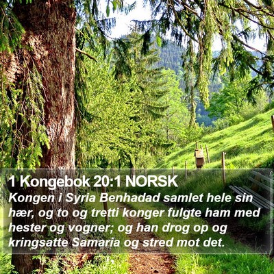 1 Kongebok 20:1 NORSK Bible Verse Image