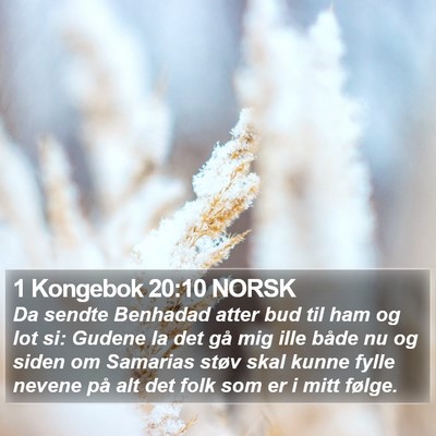 1 Kongebok 20:10 NORSK Bible Verse Image