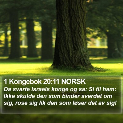 1 Kongebok 20:11 NORSK Bible Verse Image