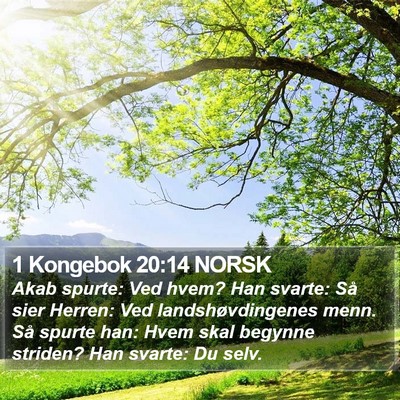 1 Kongebok 20:14 NORSK Bible Verse Image
