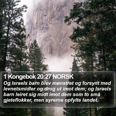 1 Kongebok 20:27 NORSK Bible Verse Image