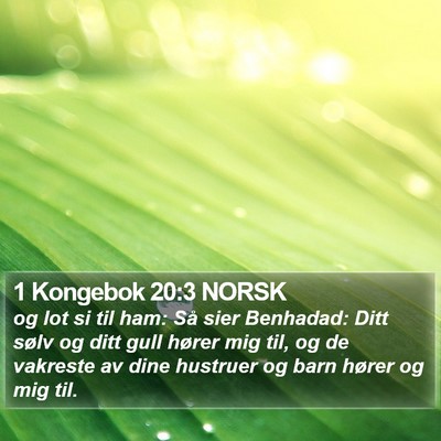1 Kongebok 20:3 NORSK Bible Verse Image