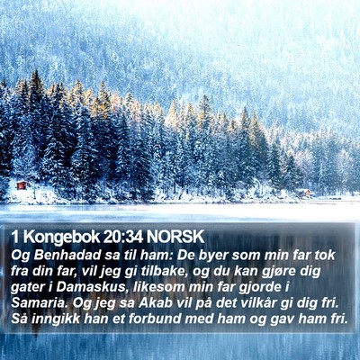1 Kongebok 20:34 NORSK Bible Verse Image