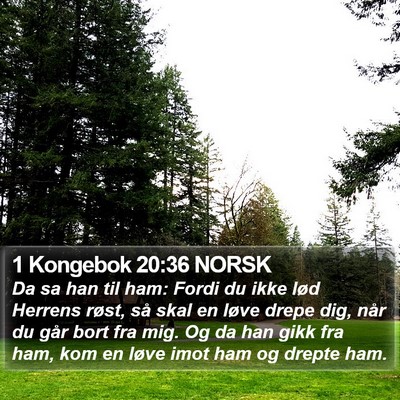 1 Kongebok 20:36 NORSK Bible Verse Image