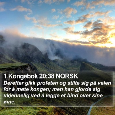 1 Kongebok 20:38 NORSK Bible Verse Image
