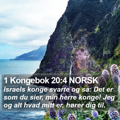 1 Kongebok 20:4 NORSK Bible Verse Image