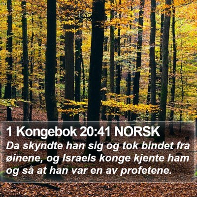 1 Kongebok 20:41 NORSK Bible Verse Image