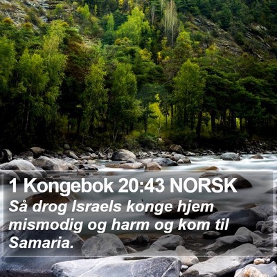 1 Kongebok 20:43 NORSK Bible Verse Image