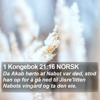 1 Kongebok 21:16 NORSK Bible Verse Image
