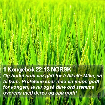 1 Kongebok 22:13 NORSK Bible Verse Image