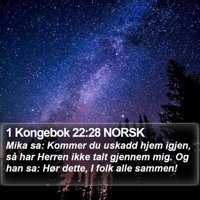 1 Kongebok 22:28 NORSK Bible Verse Image