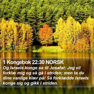 1 Kongebok 22:30 NORSK Bible Verse Image