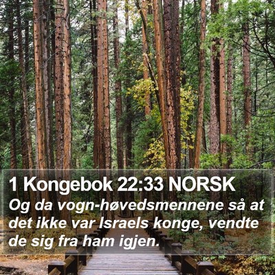 1 Kongebok 22:33 NORSK Bible Verse Image