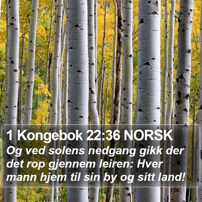1 Kongebok 22:36 NORSK Bible Verse Image