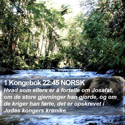 1 Kongebok 22:45 NORSK Bible Verse Image