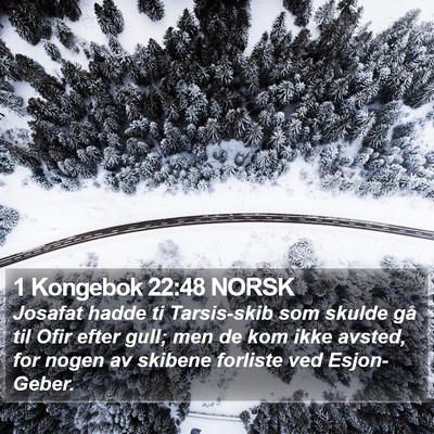 1 Kongebok 22:48 NORSK Bible Verse Image