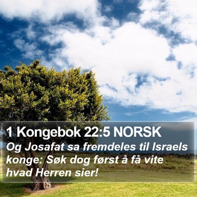 1 Kongebok 22:5 NORSK Bible Verse Image