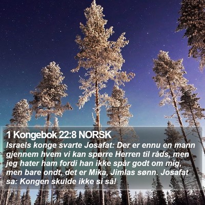 1 Kongebok 22:8 NORSK Bible Verse Image
