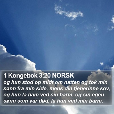 1 Kongebok 3:20 NORSK Bible Verse Image