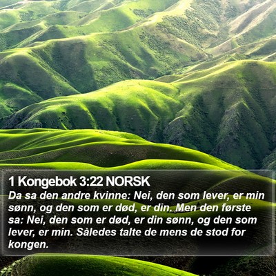 1 Kongebok 3:22 NORSK Bible Verse Image