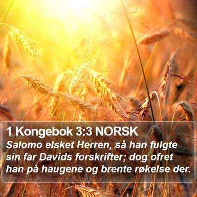 1 Kongebok 3:3 NORSK Bible Verse Image