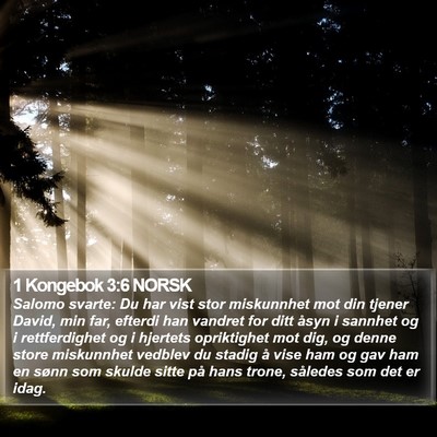 1 Kongebok 3:6 NORSK Bible Verse Image