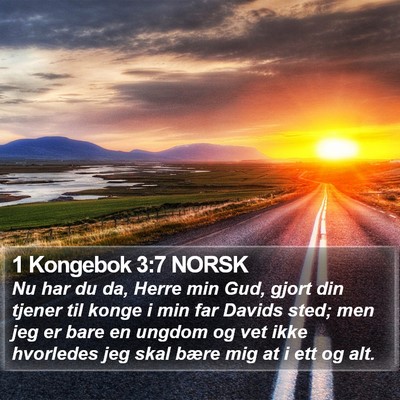 1 Kongebok 3:7 NORSK Bible Verse Image