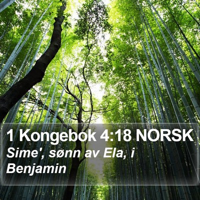 1 Kongebok 4:18 NORSK Bible Verse Image