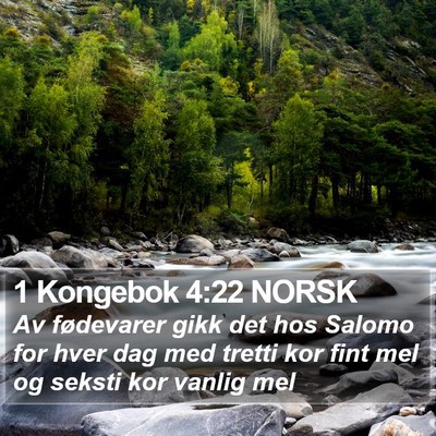 1 Kongebok 4:22 NORSK Bible Verse Image