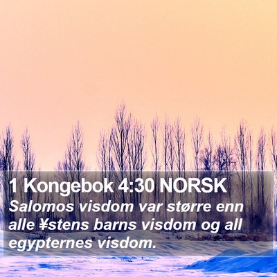 1 Kongebok 4:30 NORSK Bible Verse Image
