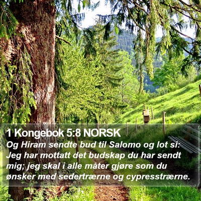 1 Kongebok 5:8 NORSK Bible Verse Image