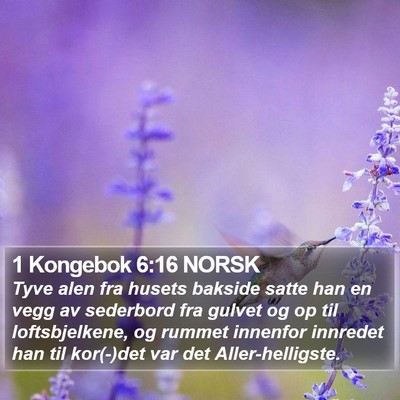 1 Kongebok 6:16 NORSK Bible Verse Image