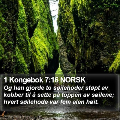 1 Kongebok 7:16 NORSK Bible Verse Image