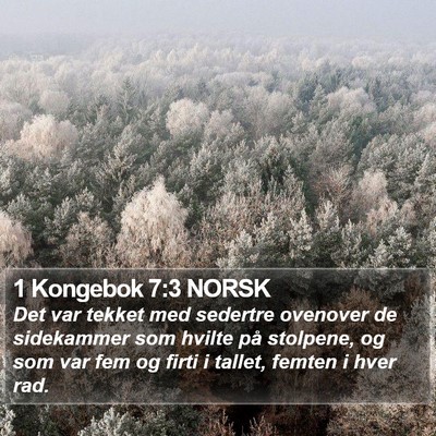 1 Kongebok 7:3 NORSK Bible Verse Image